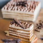 Apfelkuchen in der Springform frisch gebacken
